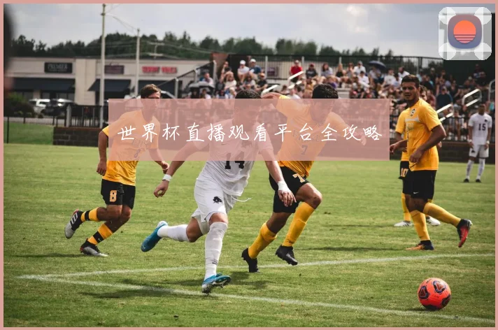 世界杯直播观看平台全攻略