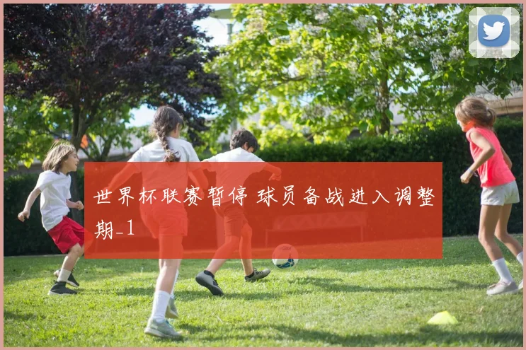 世界杯联赛暂停 球员备战进入调整期_1