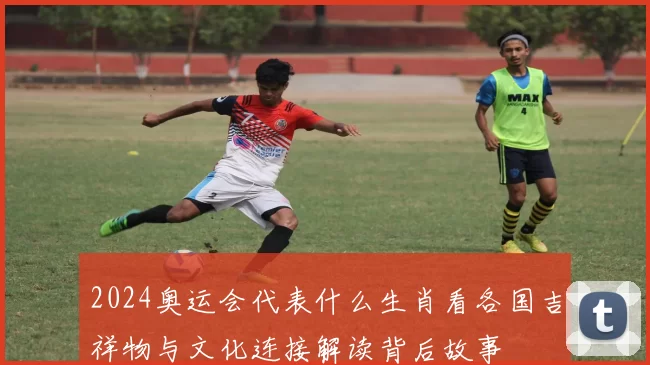 2024奥运会代表什么生肖看各国吉祥物与文化连接解读背后故事