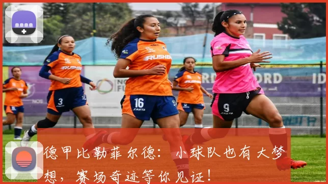 德甲比勒菲尔德：小球队也有大梦想，赛场奇迹等你见证！